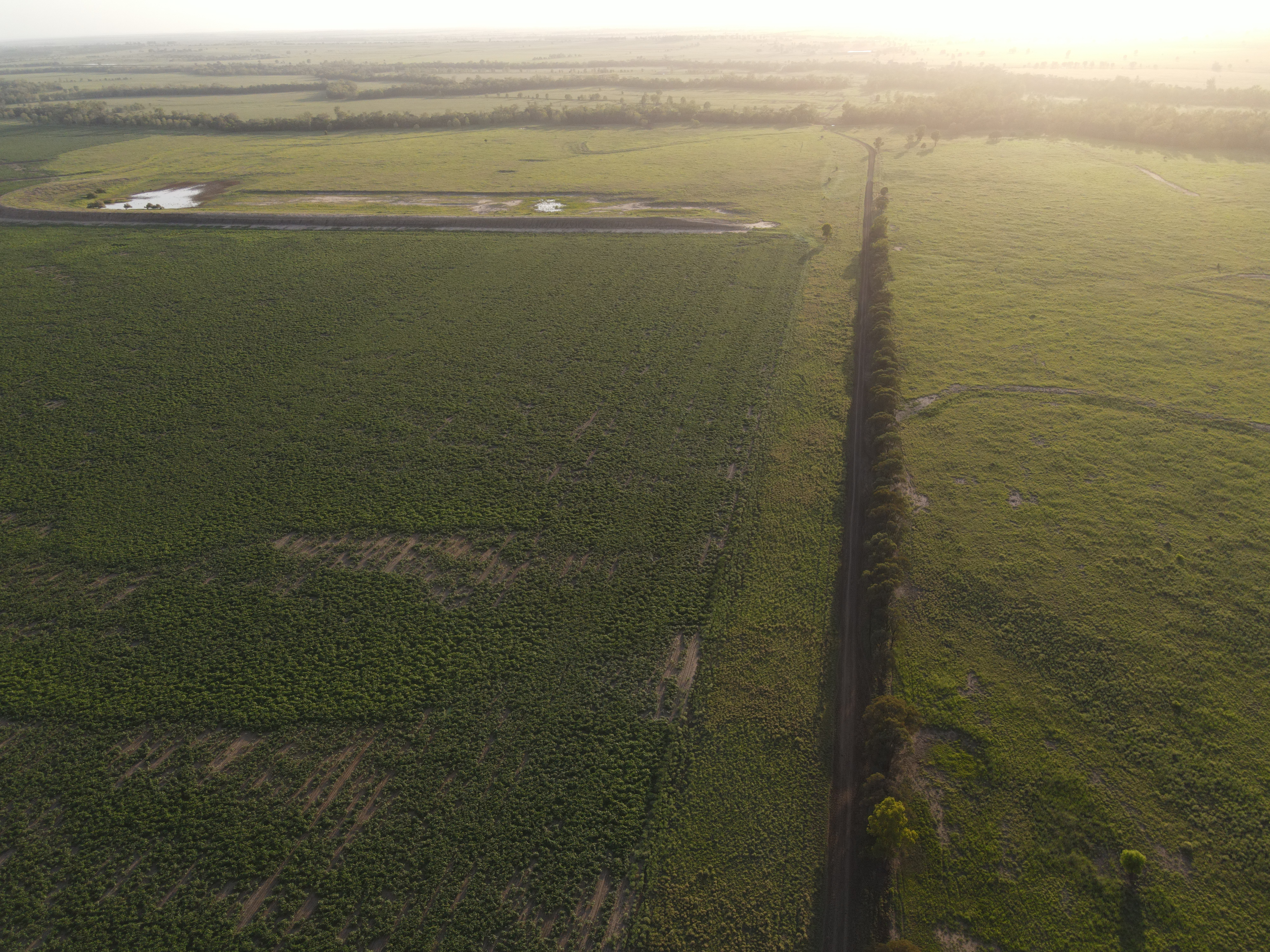 DJI_0264.jpg